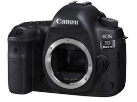 CANON EOS 5D Mk iv camera image