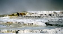 MINERAL TERRACES YELLOWSTONE NATIONAL PARK USA